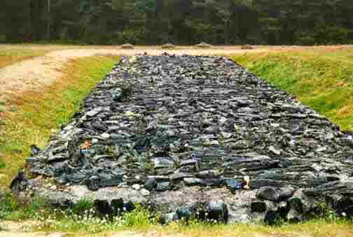 Bildresultat för treblinka mass graves