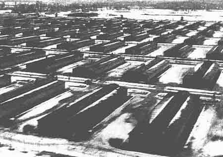 Image result for liberation of birkenau