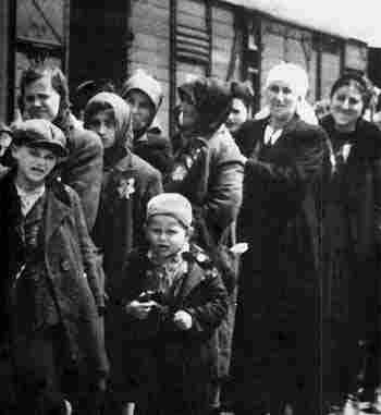 Hungarian Jews Arrive at Birkenau