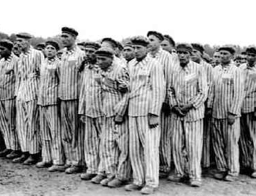 holocaust experiments on homosexuals