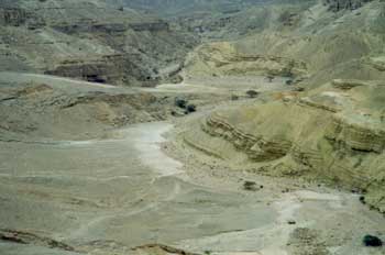 The Negev Desert