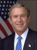 Bush