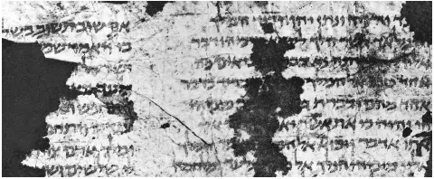 Figure 12.The oldest datable Bible in Egyptian square script, c. fifth century C.E. London, Egypt Exploration Society, Antinoopolis Fragment No. 47.