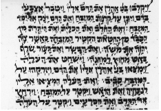 Figure 17. Passage from Leviticus in Parsic square script 1571 C.E. New York, Jewish Theological Seminary of America, Ms. Adler 313.