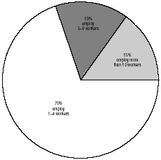 Figure 1. Share of small- and medium-scale enterprises in crafts and industry in Israel, 1968 (includes artisans workshops  24,500 workers)